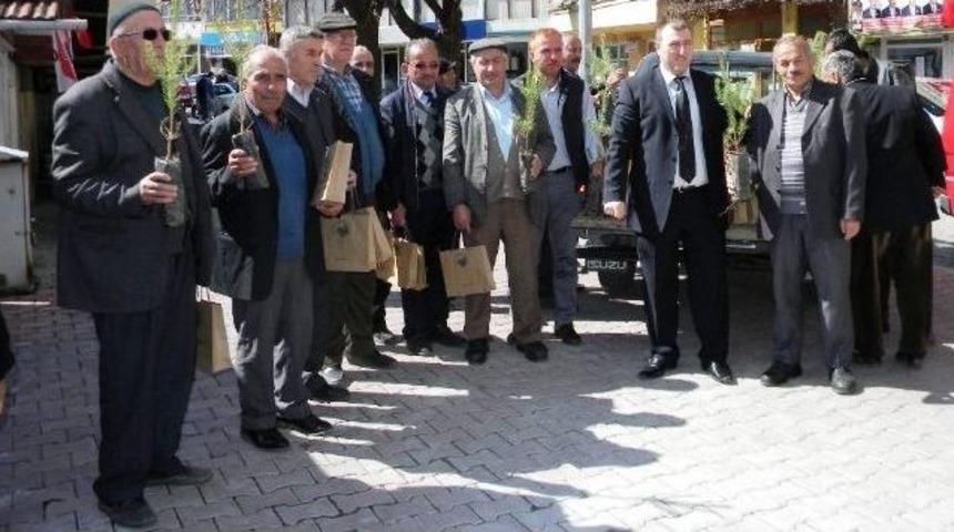 Ormancılık G&uuml;n&uuml;'nde Azdavay'da Fidan Dağıtıldı