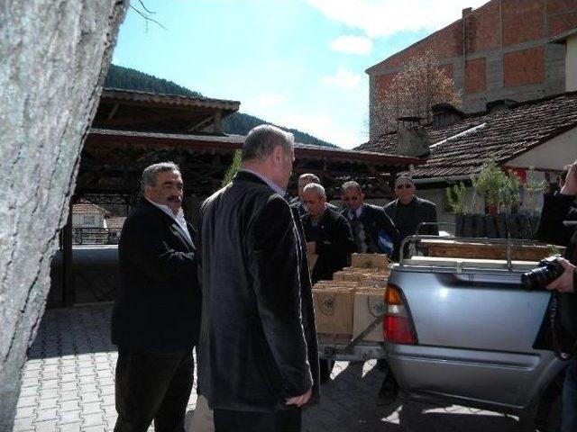 Ormancılık Günü'nde Azdavay'da Fidan Dağıtıldı