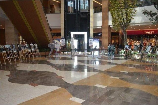 Şanlıurfa Piazza’da “çanakkale” Sergisi Açıldı