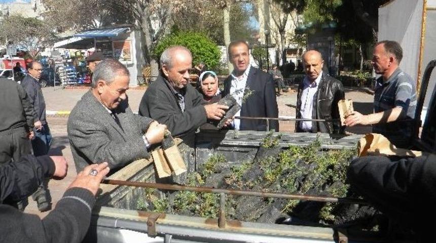 Tekirdağ&rsquo;da Orman Haftası Dolayısıyla 2 Bin &Ccedil;am Fidanı Dağıtıldı