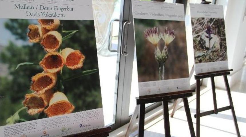 &ldquo;memleketim Antalya Endemik &Ccedil;i&ccedil;ekler Ve Bitkiler&rdquo; Ua&uuml;&rsquo;de Sergileniyor