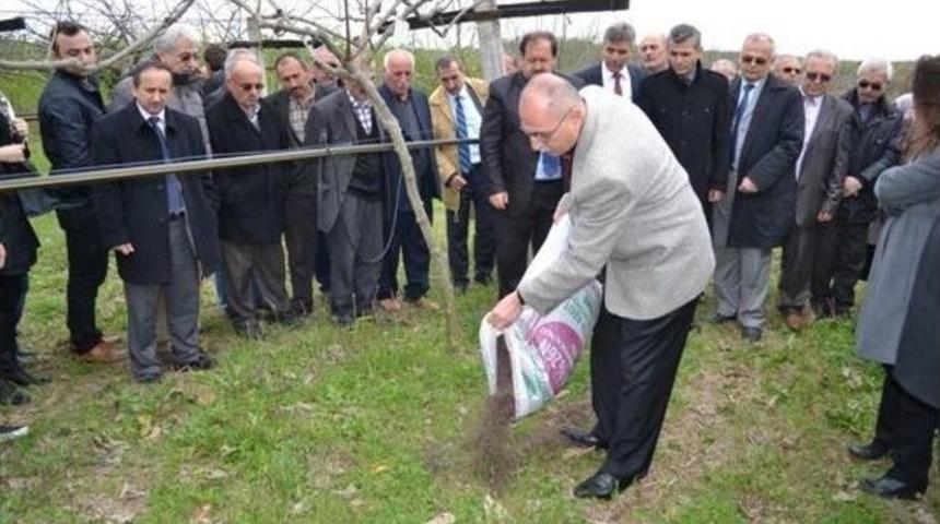 &Ccedil;arşamba&rsquo;da Tarla G&uuml;n&uuml; Yapıldı