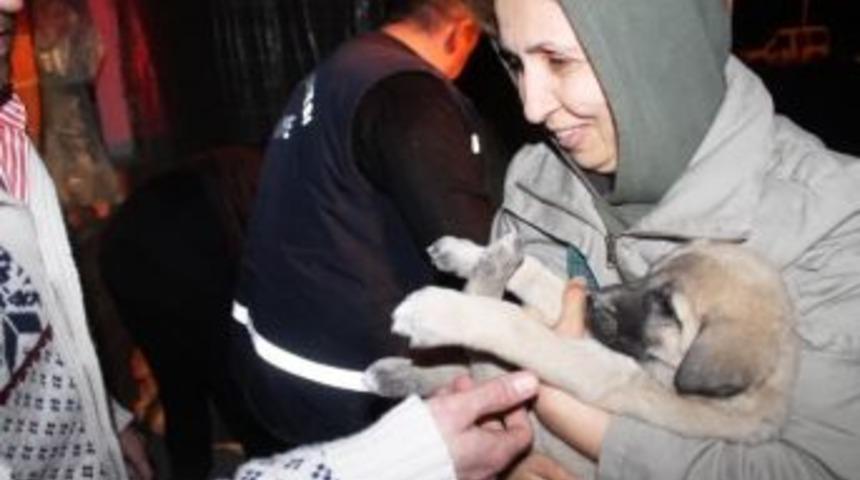 Su Kuyusuna D&uuml;şen Yavru K&ouml;pekler Kurtarıldı