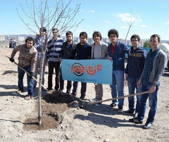 Nevruz Bayramı Kutlamaları Kapsamında Erciyes Üniversitesi Deprem Araştırma Laboratuvar Hizmet Binası Çevresine Fidan Dikildi