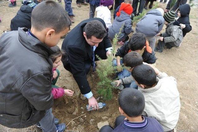 Dünya Ormancılık Günü Ve Orman Haftası 1