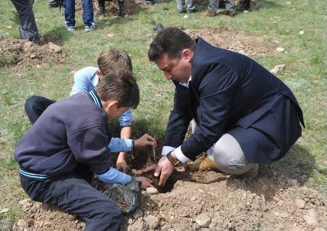 Dünya Ormancılık Günü Ve Orman Haftası 2