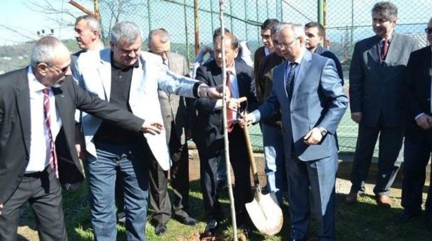 Alaplı&rsquo;da Nevruz Bayramı Coşku İle Kutlandı