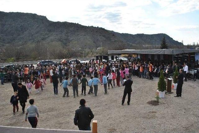 Amasya'da Yanan Ormanı 3 Bin Fidan Yeşertecek