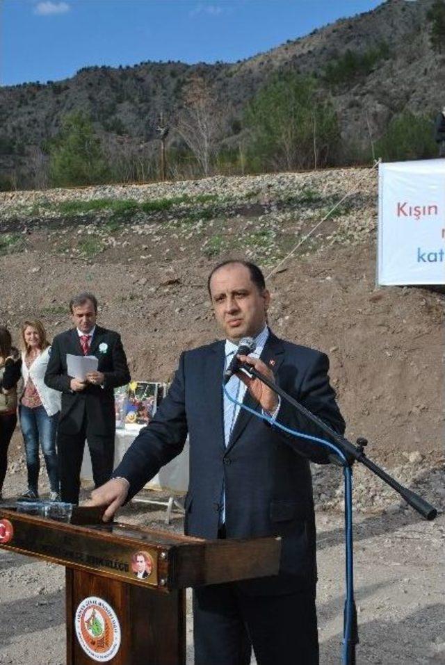 Amasya'da Yanan Ormanı 3 Bin Fidan Yeşertecek