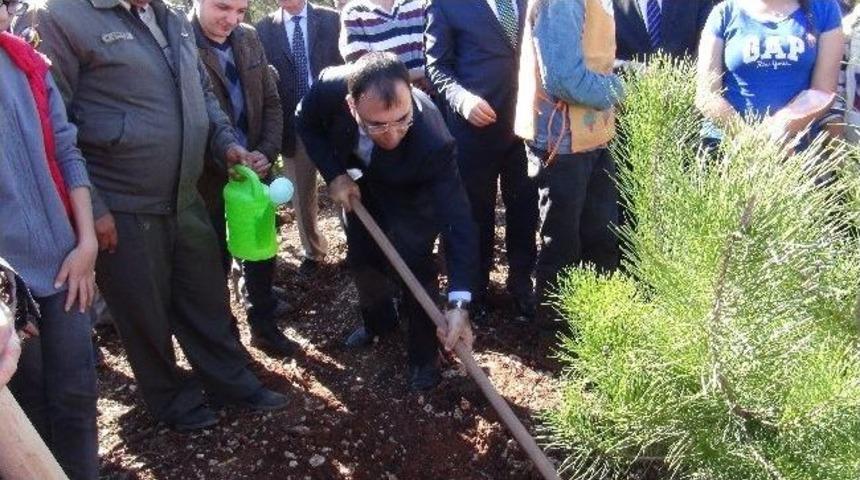 İzmir&rsquo;de 5 Bin Fidan Dikildi