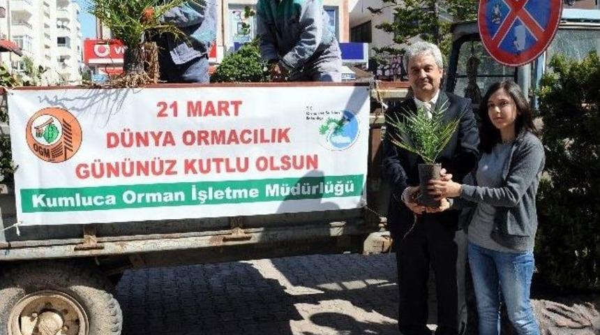 Orman İşletme M&uuml;d&uuml;rl&uuml;ğ&uuml;nden Bin Adet Fidan Dağıtımı