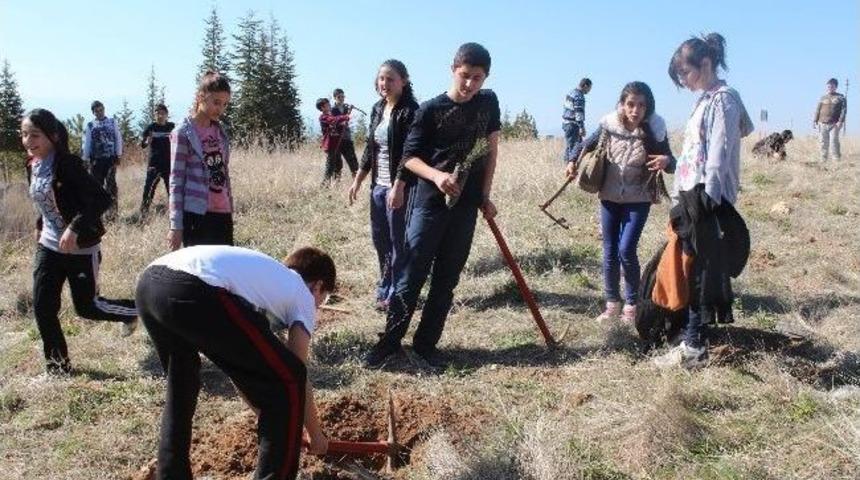 Beyşehir&rsquo;de Ağa&ccedil; Bayramı