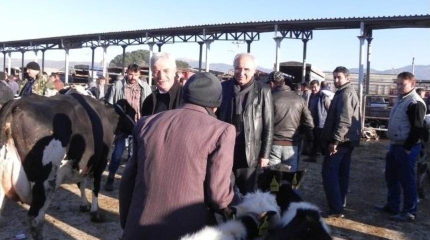 Başkan Keskin Hayvan Pazarı'ndaki Sıkıntıya Elkoydu