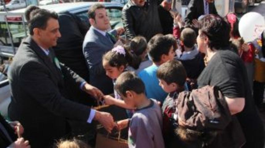 Safranbolu&rsquo;da Fidan Dağıtımı