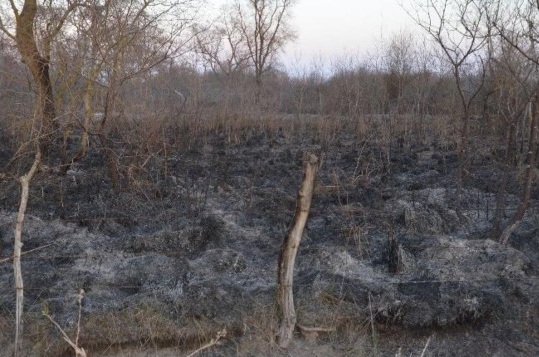 19 Mayıs&rsquo;ta Orman Yangını