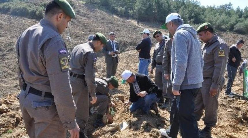Jandarma Kuruluşunun 175. Yılını Fidan Dikerek Kutladı