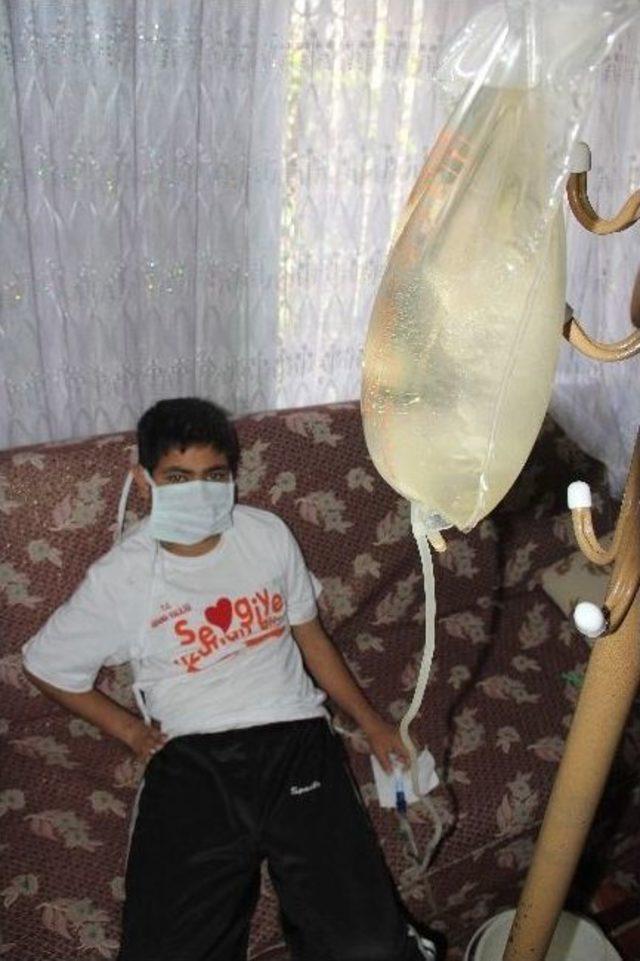 Tek B&ouml;brekli &Ccedil;ocuk B&ouml;brek Bulunmazsa &Ouml;lecek 3