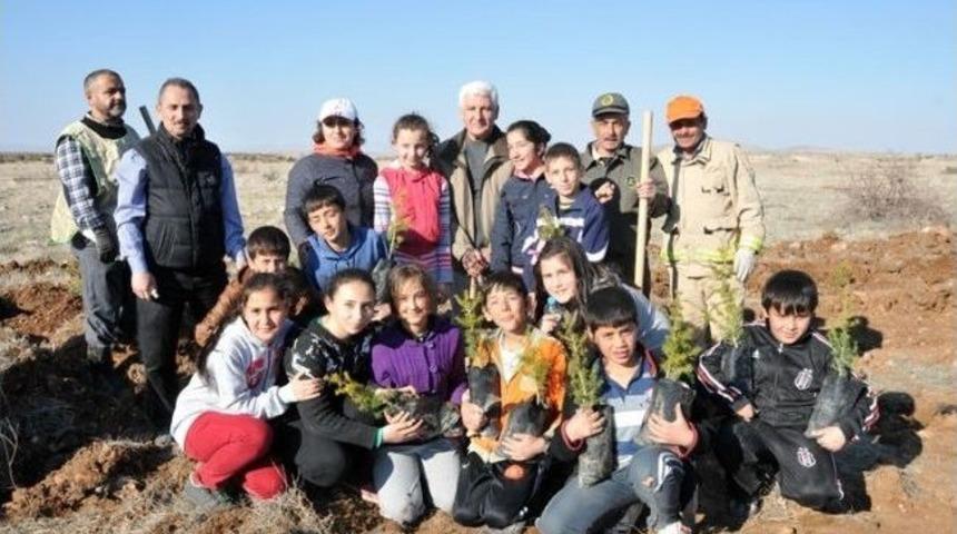 Karaman'dan Fidan Dikimi