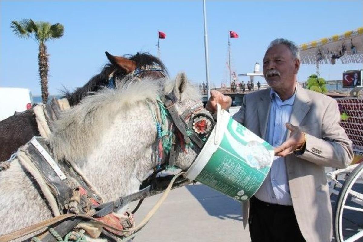 Faytoncuların Tek Umudu Turistler