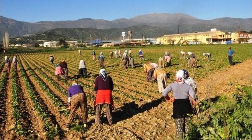 Vatandaşın Ge&ccedil;im Derdi Se&ccedil;im Derdini Geride Bırakıyor