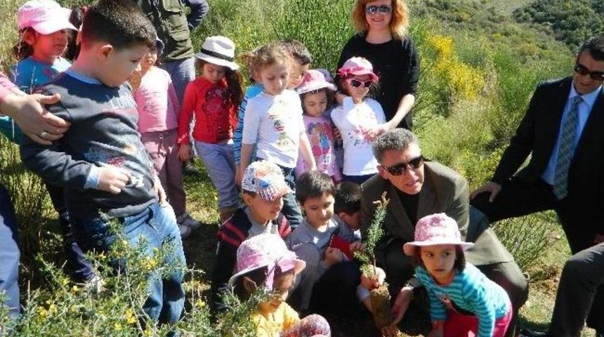 &ldquo;d&uuml;nya Ormancılık&rdquo; Haftasında G&ouml;lc&uuml;k Yoluna 1000 &Ccedil;am Fidanı