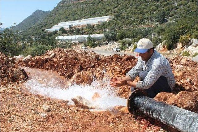 Yüz Yıllık Hasret Bitti