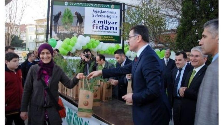 Vali Fidan Dağıttı