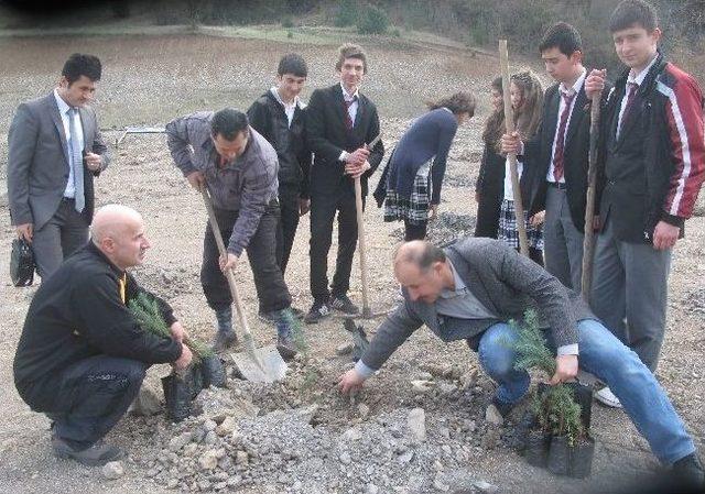 Niksar’da 3 Bin Fidan Toprakla Buluştu