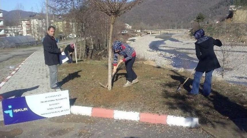 Abdipaşa Belediyesi 2 Bin 200 Adet Fidan Dikti