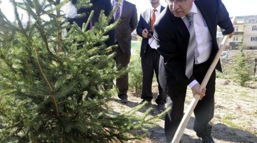 Vali Nayir D&uuml;nya Ormancılık G&uuml;n&uuml; Dolayısıyla Fidan Dikti