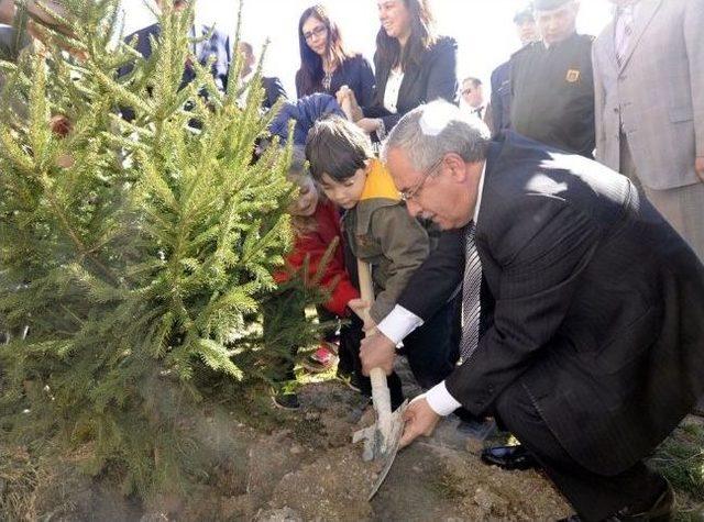 Vali Nayir Dünya Ormancılık Günü Dolayısıyla Fidan Dikti