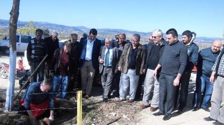 Yenişehirli Nakliyecilerin Şişe Cam Sevinci