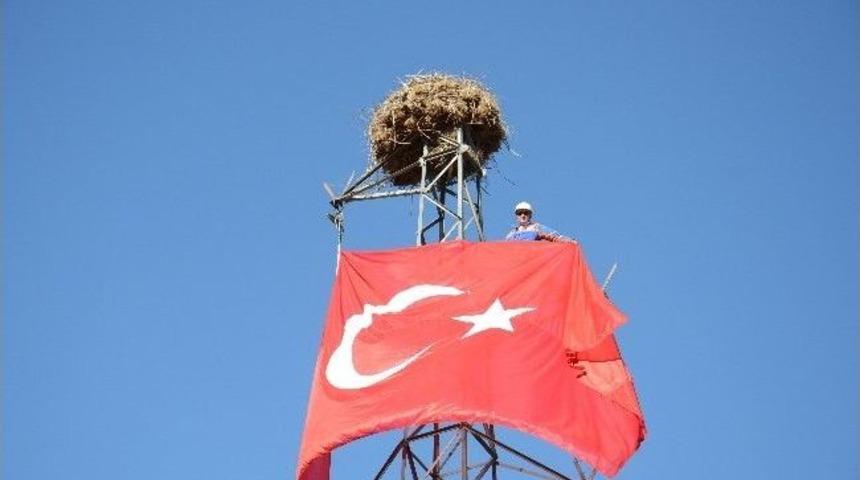 Boşta Kalan Y&uuml;ksek Gerilim Direği Leylek Yuvası Y&uuml;z&uuml;nden S&ouml;k&uuml;lmedi