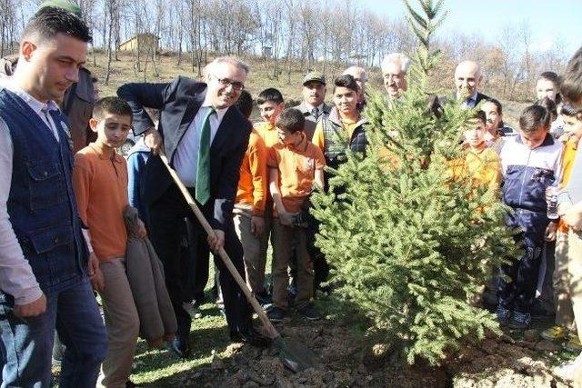 Öğrenciler Orman Haftasında Fidan Dikti