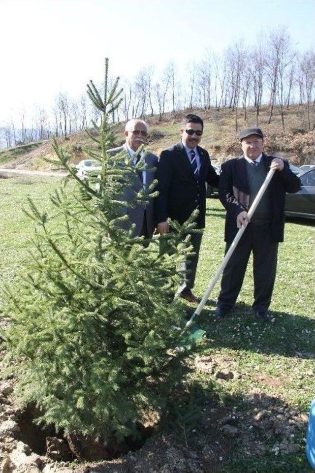 Öğrenciler Orman Haftasında Fidan Dikti