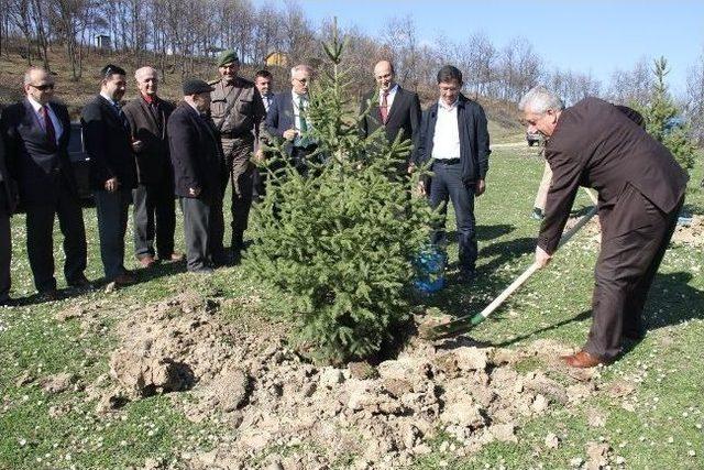 Öğrenciler Orman Haftasında Fidan Dikti