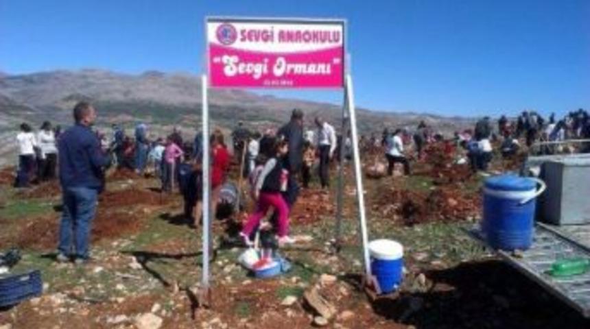 Minik &Ouml;ğrenciler Fidanları Toprakla Buluşturdu