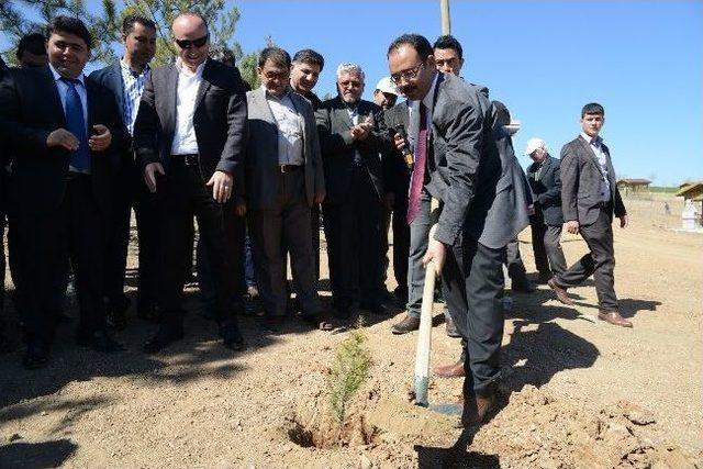 Uşak’ta Uçurtma Ve Ağaçlandırma Şenliği