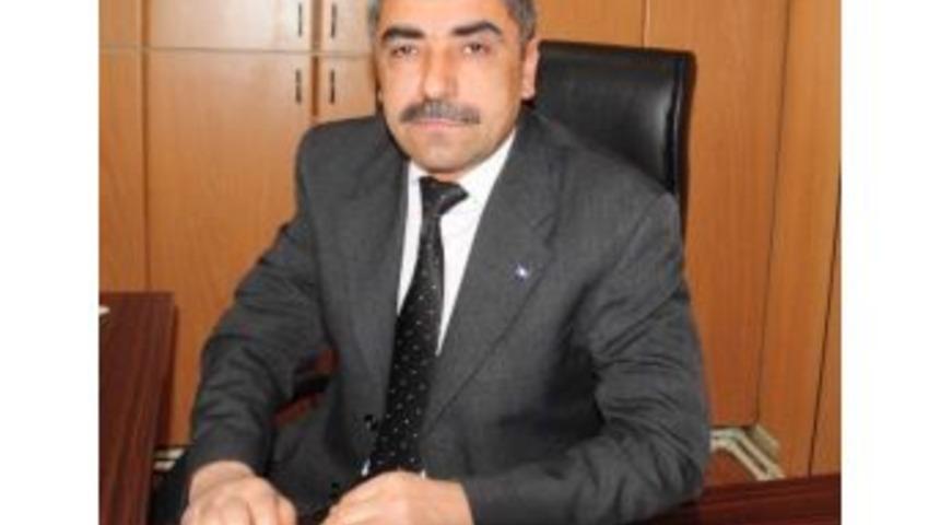 Tarım Kredi Kooperatiflerinden Sertifikalı Aspir Tohumu