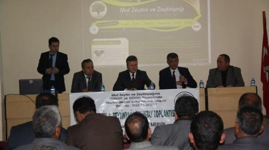 Mut Zeytin Ve Zeytinyağı Marka Olacak