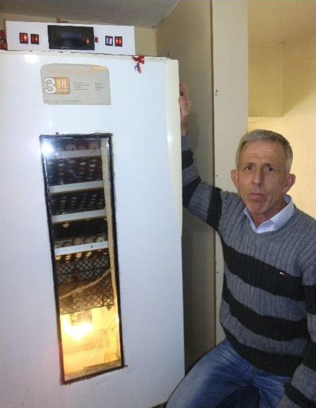 (&ouml;zel Haber) Hurda Buzdolabından Yaptığı Kulu&ccedil;ka Makinesinde Civciv &Uuml;retiyor