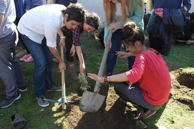 Sakarya Anadolu Lisesi’nde Orman Haftası Kutlaması