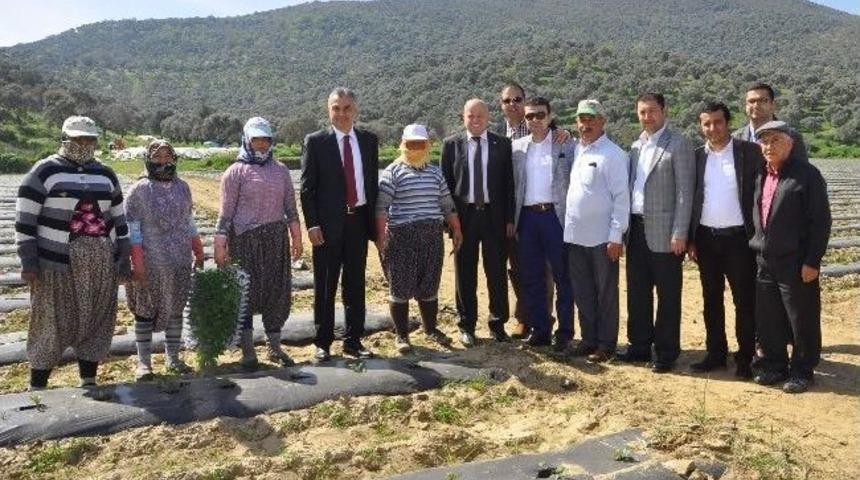 Savaş: &ldquo;bu İş Tamamdır Artık G&uuml;mb&uuml;r G&uuml;mb&uuml;r Geliyoruz&rdquo;