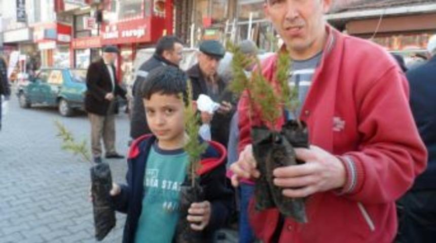 &Uuml;cretsiz Onbin fidan dağıtıldı