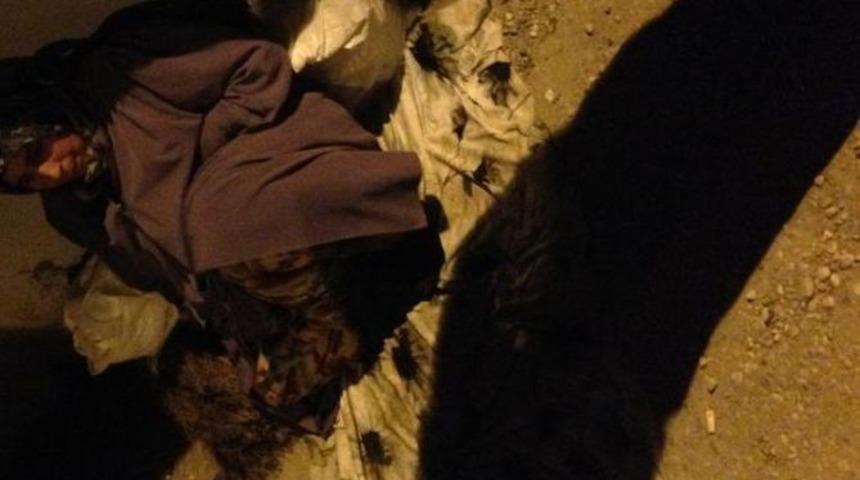 Sokakta Kalan Kadına Polis Sahip &Ccedil;ıktı