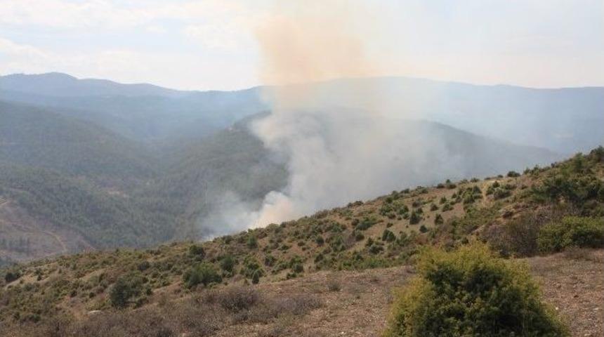 Bilecik'te Orman Yangını Kontrol Altına Alındı