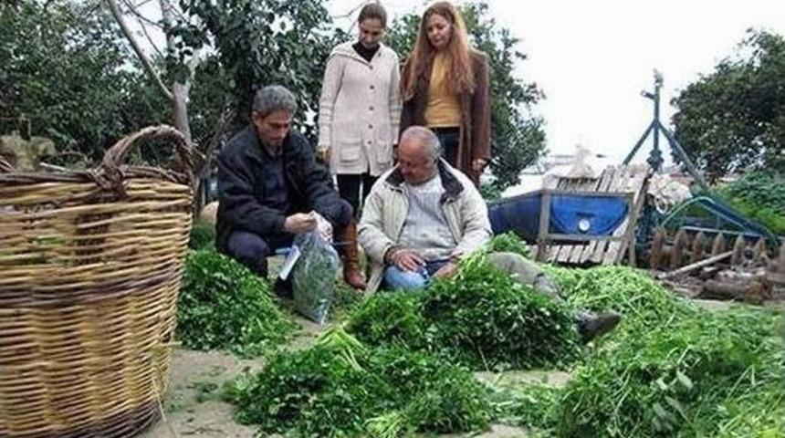 Aydın&rsquo;da 2014 Yılının İlk Hasat &Ouml;ncesi Pestisit Denetimi Yapıldı