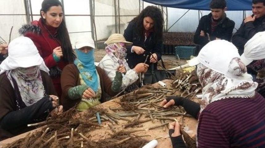 &Ouml;ğrenciler Uygulamalı Fidan Eğitimi Aldı
