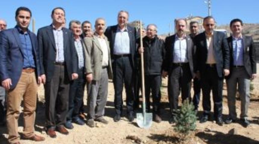 İşiten Fidanlığına İlk &Ccedil;am Fidanları Milletvekilleri Tarafından Dikildi
