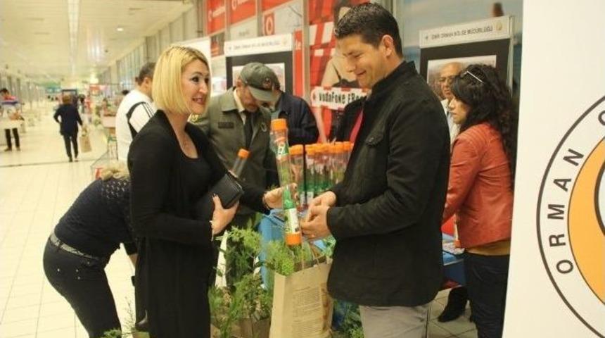 Bal&ccedil;ova'da 3 Bin 500 Fidan Dağıtıldı